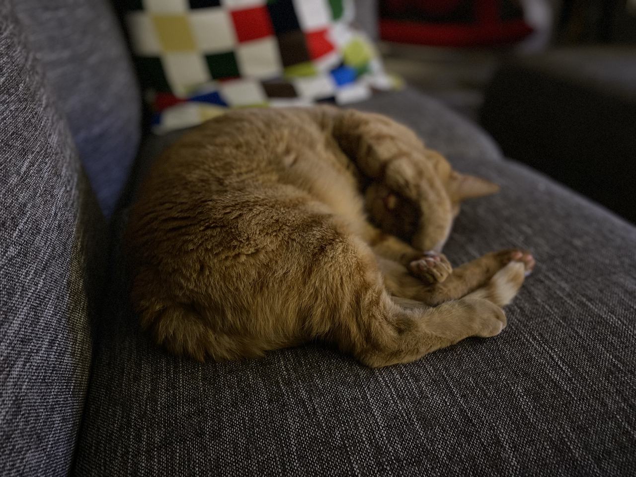Lucy