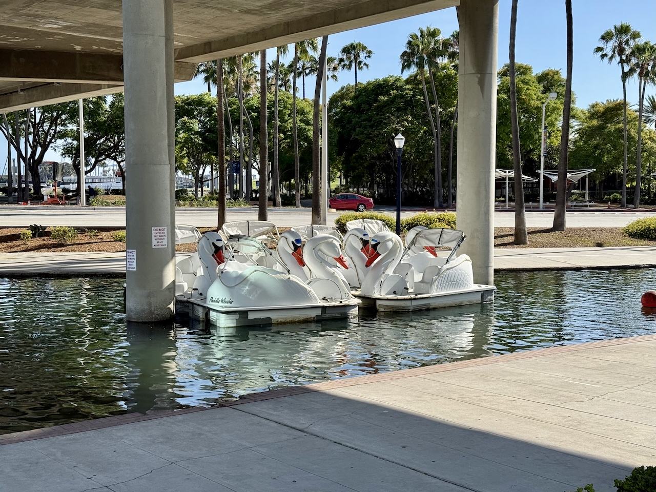 swan boats