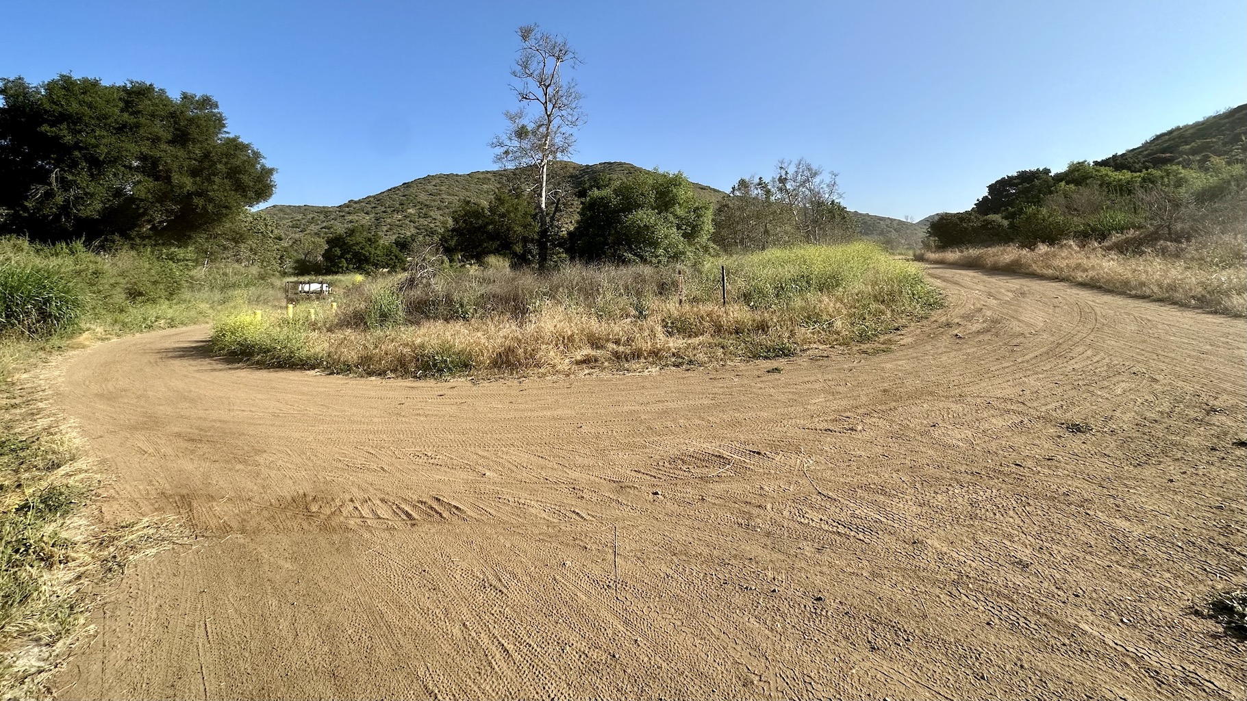 fork in a dirt fire road