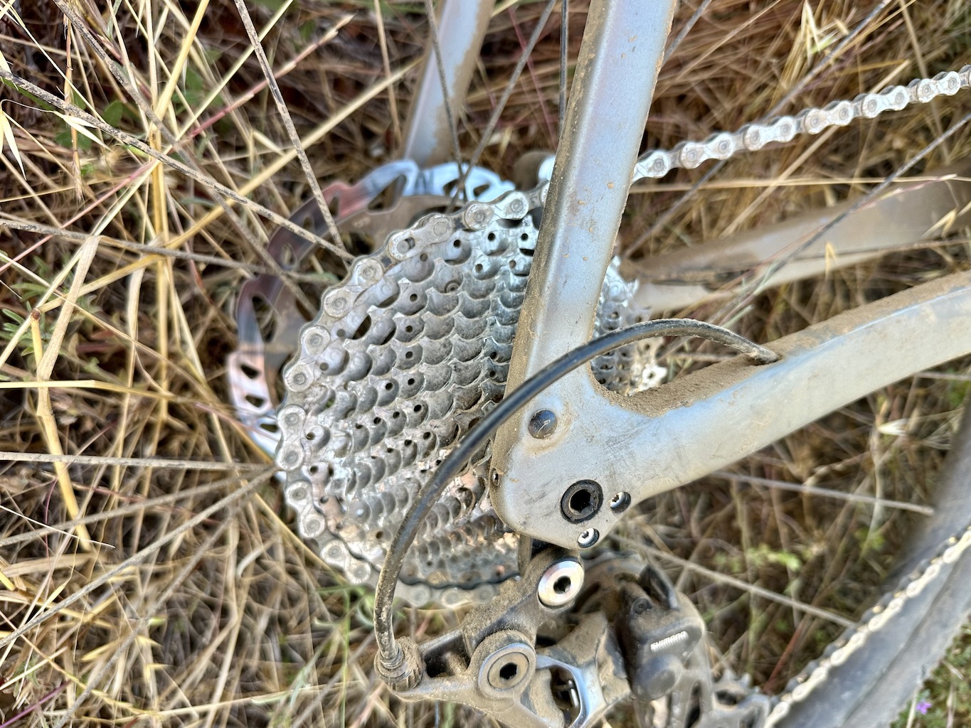 dry, dusty cassette and rear derailleur