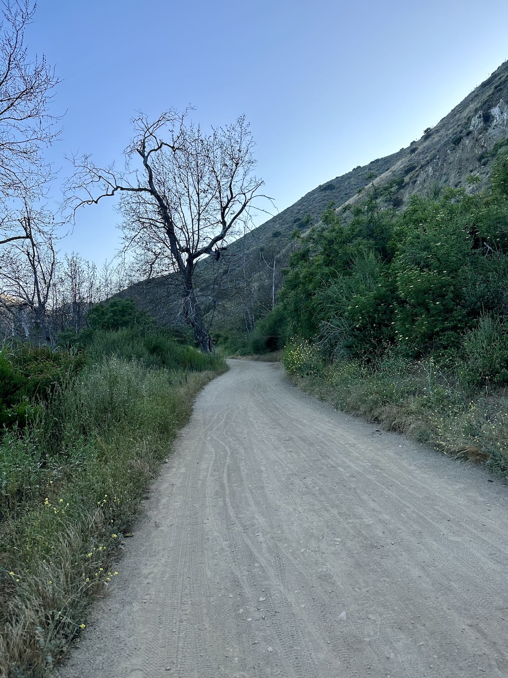 Sycamore Canyon Road in Point Mugu State Park