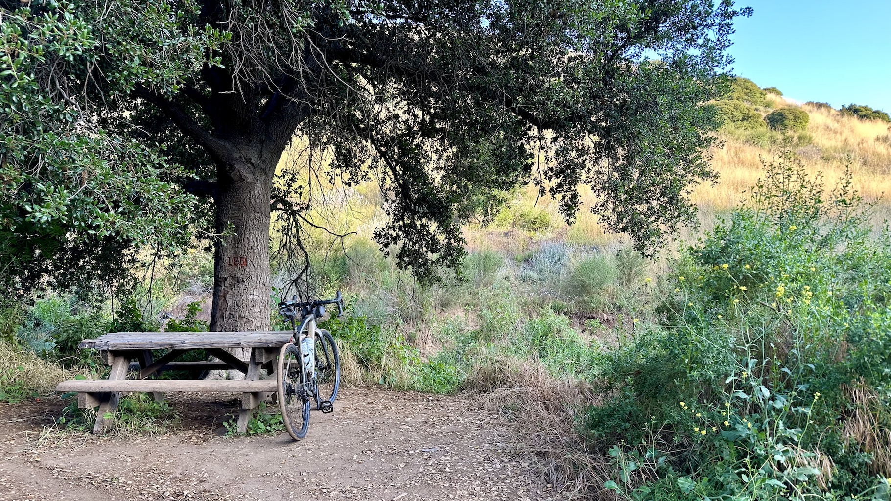 gravel bike leaning against a picnic table
