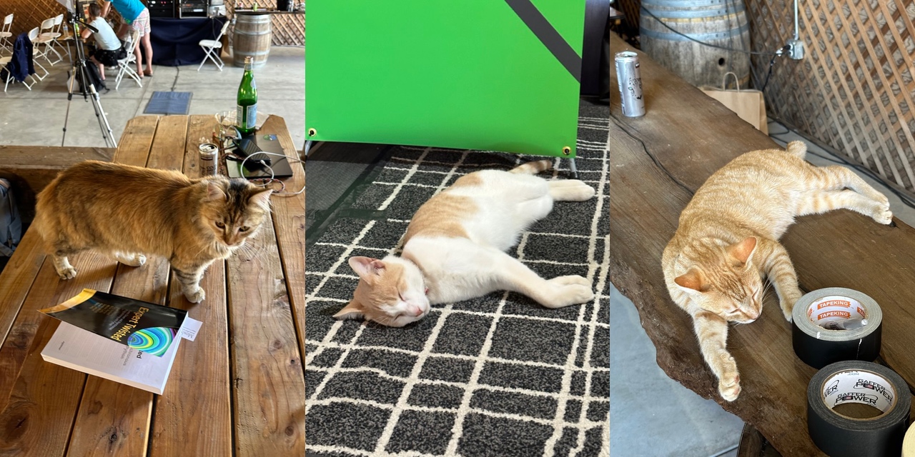 Paulina, Poppy, and Pete Tiger at various stages of the conference