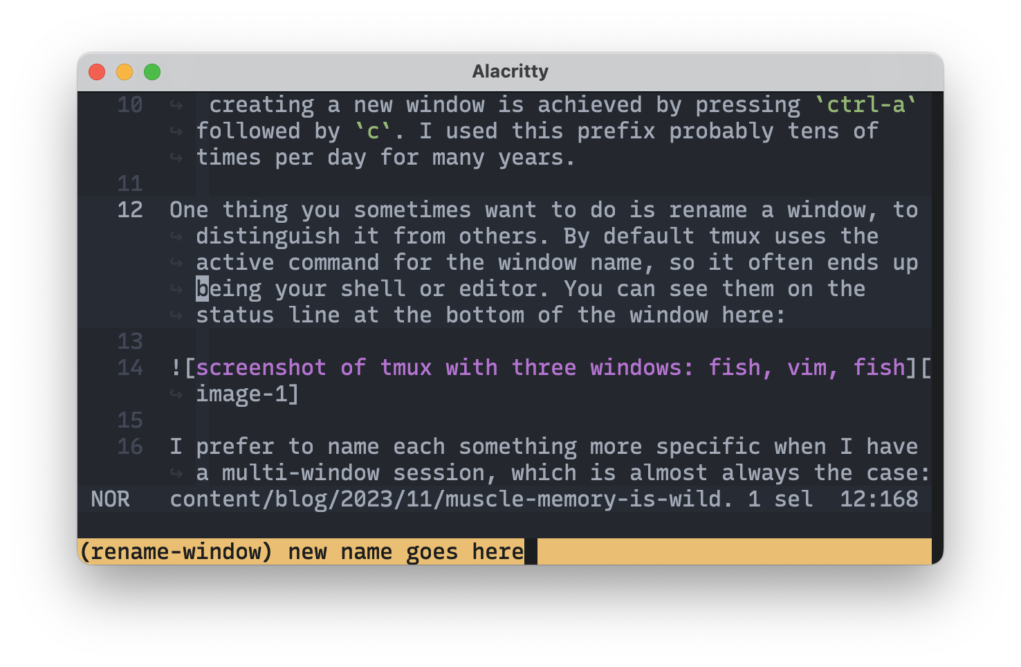screenshot of tmux with window name showing as “(rename-window) new name goes here”