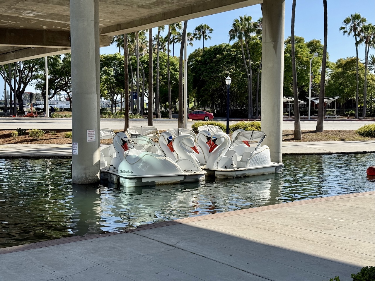 swan boats swan boats