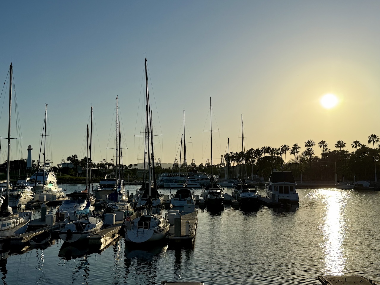 boats in the marina boats in the marina